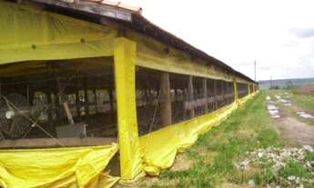 Imagem 5: VENDO TROCO GRANJA REGIAO ITAPETININGA CAPACIDADE 70.000 AVES (032