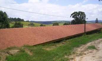 Imagem 6: VENDO TROCO GRANJA REGIAO ITAPETININGA CAPACIDADE 70.000 AVES (032