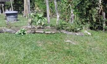 Imagem 2: VENDO CHACARA COM 5.000 ESCRITURADA EM JUQUITIBA ( 6220