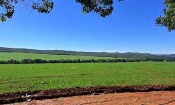Imagem 4: VENDO FAZENDA REGIAO DE CALDAS NOVAS ( 6226
