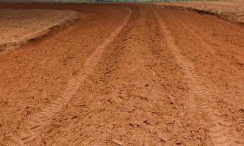 Imagem 3: VENDO FAZENDA REGIÃO DE ARAGUAINA-TO ( 6223