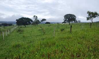 Imagem 6: VENDO FAZENDINHA REGIAO DE VIANOPOLIS - GO ( 6225