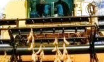 Imagem 4: VENDO FAZENDA 400 HECTARES LAVOURA SUL DE GOIAS ( 6217