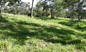 Imagem: VENDO 110 HECTARES REGIAO DE CORUMBAIBA-GO
