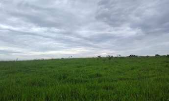 Imagem 2: VENDO FAZENDINHA REGIAO DE VIANOPOLIS - GO ( 6225