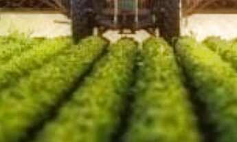 Imagem: VENDO FAZENDA 400 HECTARES LAVOURA SUL DE