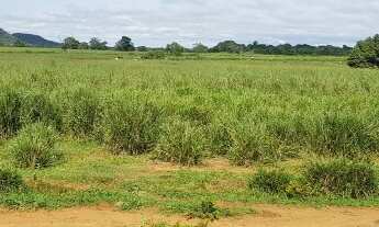 Imagem 3: VENDO BELA FAZENDA REGIAO DE PALMEIRANTE-TO ( 6224