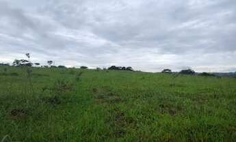 Imagem 3: VENDO FAZENDINHA REGIAO DE VIANOPOLIS - GO ( 6225