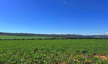 Imagem 3: VENDO FAZENDA REGIAO DE CALDAS NOVAS ( 6226