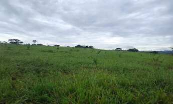 Imagem 7: VENDO FAZENDINHA REGIAO DE VIANOPOLIS - GO ( 6225