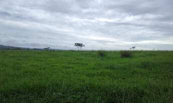 Imagem 4: VENDO FAZENDINHA REGIAO DE VIANOPOLIS - GO ( 6225