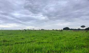 Imagem: VENDO FAZENDINHA REGIAO DE VIANOPOLIS