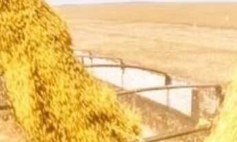 Imagem 5: VENDO FAZENDA 400 HECTARES LAVOURA SUL DE GOIAS ( 6217