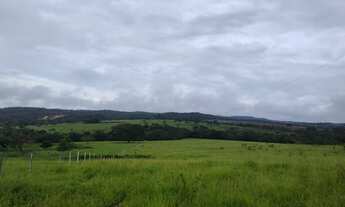 Imagem 5: VENDO FAZENDINHA REGIAO DE VIANOPOLIS - GO ( 6225