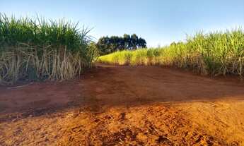 Imagem: VENDO FAZENDA PLANTACAO DE CANA REGIAO DE
