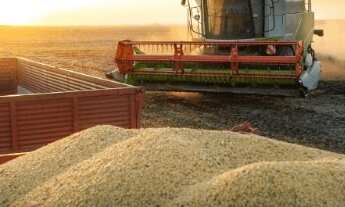 Imagem 6: VENDO FAZENDA IDEAL PARA LAVOURA NO TOCANTINS ( 6231