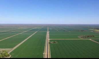 Imagem 3: VENDO FAZENDA 10.200 HECTARES NO TOCANTINS ( 6229