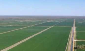 Imagem: VENDO FAZENDA 10.200 HECTARES NO TOCANTINS