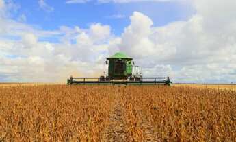 Imagem 5: VENDO FAZENDA IDEAL PARA LAVOURA NO TOCANTINS ( 6231