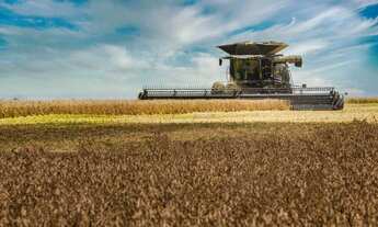 Imagem 4: VENDO FAZENDA IDEAL PARA LAVOURA NO TOCANTINS ( 6231