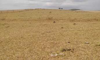 Imagem 2: VENDO UMA DAS MELHORES FAZENDA REGIAO DE ARAXA / SACRAMENTO / IBIÁ ( 6235