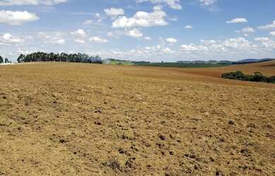 Imagem 11: VENDO FAZENDA DE CULTURA REGIAO DE IBIÁ-MG ( 6233