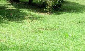 Imagem 4: VENDO LINDO TERRENO NO CONDOMÍNIO FAZENDA DA ILHA EMBU GUAÇU (CL0015