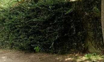 Imagem 6: VENDO CHACARA COM ESCRITURA BAIRRO FLORIDA NO EMBU GUAÇU (CL0016