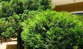 Imagem: VENDO TROCO LINDA CASA NO CONDOMÍNIO FAZENDA