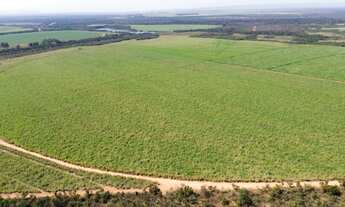 Imagem: OPORTUNIDADE VENDA FAZENDA REGIAO DE PARACATU