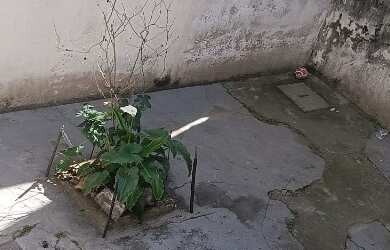 Imagem 5: ? Casa Térrea à Venda ? Parque Independência ( VI1038