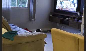 Imagem: VENDO APARTAMENTO DOIS DORMITORIOS NO CENTRO