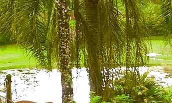 Imagem 5: OPORTUNIDADE BELÍSSIMO SITIO NO EMBU GUAÇU ( CL0036