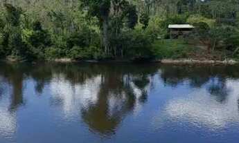 Imagem 4: VENDO FAZENDA BARATA 1.400 HECTARES NA REGIÃO DE AMAJARI RORAIMA ( 6240