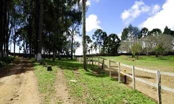 Imagem 4: HARAS A VENDA ESTADO DE SAO PAULO CIDADE PIEDADE ( 4132