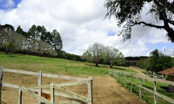 Imagem 5: HARAS A VENDA ESTADO DE SAO PAULO CIDADE PIEDADE ( 4132