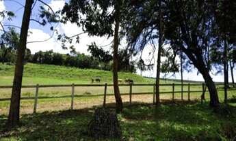 Imagem 7: HARAS A VENDA ESTADO DE SAO PAULO CIDADE PIEDADE ( 4132