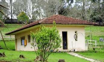 Imagem 7: HARAS A VENDA ESTADO DE SAO PAULO CIDADE PIEDADE ( 4132