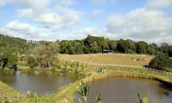 Imagem: HARAS A VENDA ESTADO DE SAO PAULO CIDADE