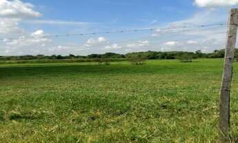 Imagem: VENDO FAZENDA DE 150 ALQUEIRES (363 HECTARES)