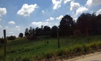 Imagem 2: VENDO FAZENDA DE 150 ALQUEIRES (363 HECTARES) PROXIMO A CAMPINAS (4144