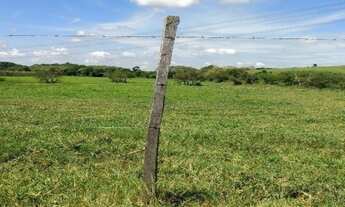 Imagem 5: VENDO FAZENDA DE 150 ALQUEIRES (363 HECTARES) PROXIMO A CAMPINAS (4144