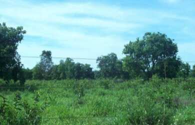 Imagem 7: VENDO FAZENDA EM JANUARIA-MG