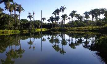 Imagem 12: VENDO FAZENDA EM JANUARIA-MG