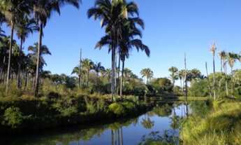 Imagem 14: VENDO FAZENDA EM JANUARIA-MG