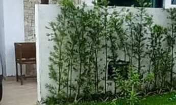 Imagem: CASA RESIDENCIAL em LAURO DE FREITAS - BA