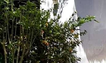 Imagem: CASA RESIDENCIAL em CAMAÇARÍ - BA, JAUÁ