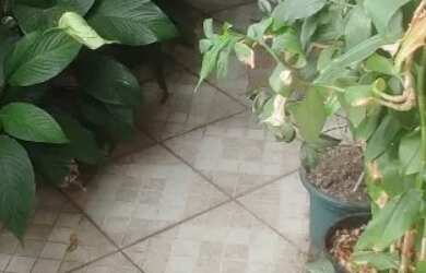 Imagem 6: APARTAMENTO RESIDENCIAL em RIO DE JANEIRO - RJ, CENTRO