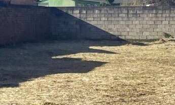 Imagem: 383M² de Área Total