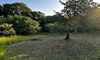 Imagem 4: SITIO COM PISCINA EM ITANHAÉM